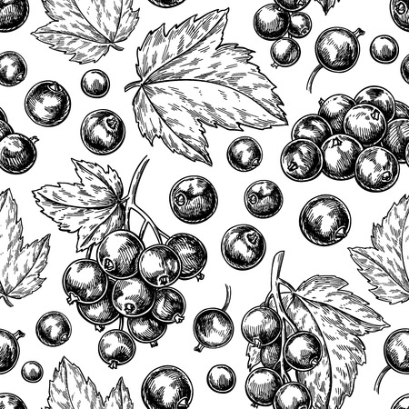 Online coloring book: Redcurrant antistress coloring book